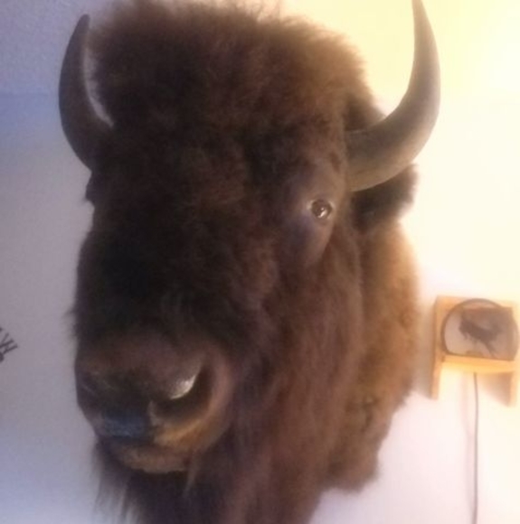 Meet your Posher, Cathe - Picture 1 of 1